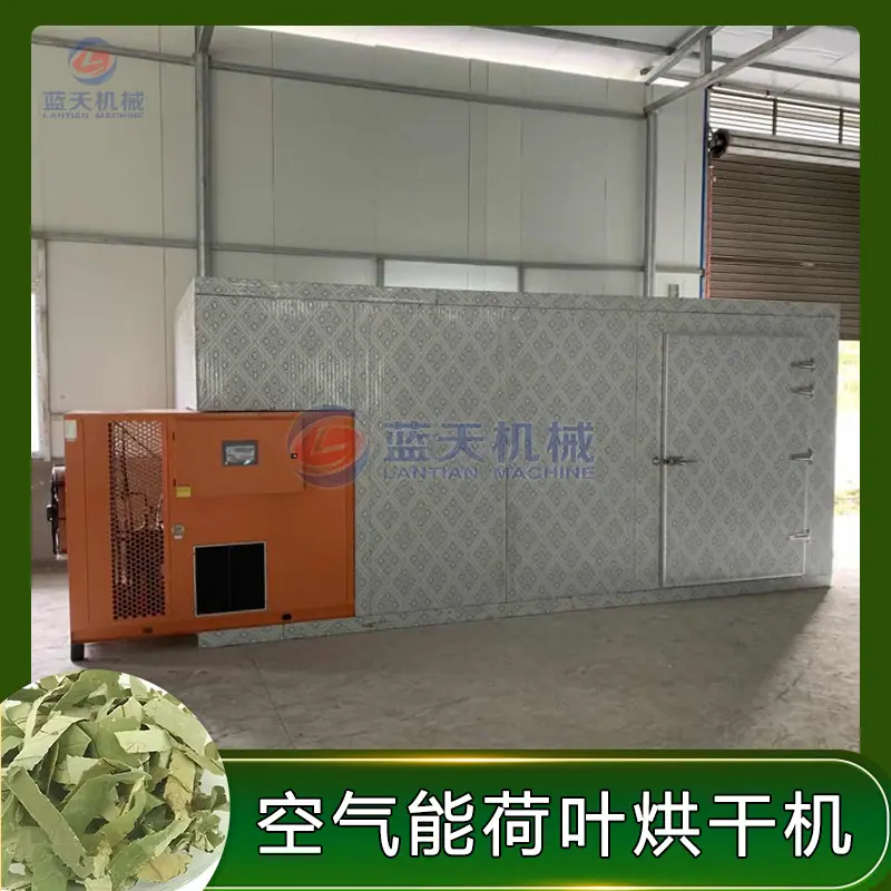 荷叶阿.jpg
