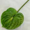 Antúrio Trombeta Meichun Flor Artificial Toque de Gel Macio Planta Carnuda Planta Verde Decoração de Casa Arranjo de Flores Planta em Vaso