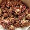 Rosa de flor seca de Yunnan rosa de cabeza múltiple rosa burbuja ramo de flor seca muebles de sala de estar accesorios de fotografía multicolor flores reales al por mayor