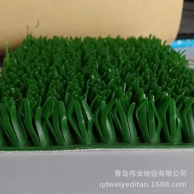 淘金草