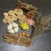 Fruta Fixa Natural Planta Fruta Casca Espécime Material Decoração Flores Secas Fatias Jardim de Infância DIY Pacote de Material de Natal
