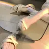 Primer encuentro de la temporada: Zapatos planos de encaje francés hueco para mujer, que aumentan 4 cm de altura, modelo nuevo 2026, punta fina, estilo deslumbrante de socialité