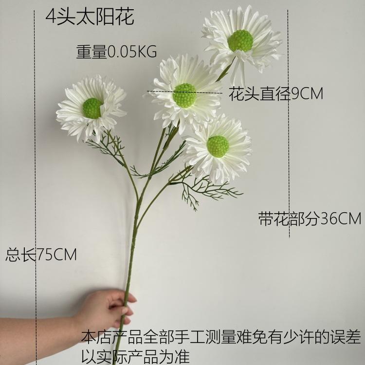 尺寸图