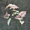 Película 3D Simulada Lluvia de Primavera Hojas Boda Decoración del Hogar Arreglo Plantas Verdes Hojas de Cala Adornos de Flores Artificiales Transfronterizos Venta al por Mayor