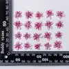 Linda cereja em relevo flor flor seca planta espécime folha de árvore artesanal adesivo cola diy marcador material