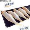 Peixe Seco Salgado Redwood Sem Cabeça Frutos do Mar Secos Peixe Dourado Seco ao Sol Pescadores Peixe-fio Vermelho Sem Cabeça Peixe Marinho Seco ao Ar