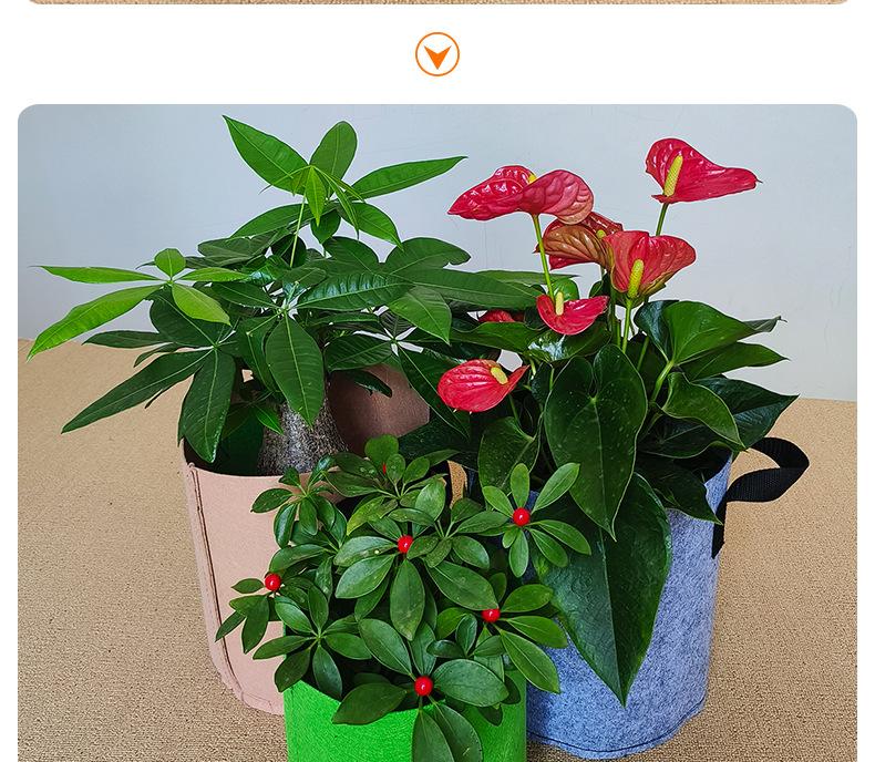 彩色种植袋2_17.jpg