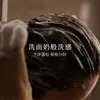 Shampoo Controlador de Oleosidade com Óleo de Fragrância Personalizado OEM Refrescante Anticaspa Volumoso Fragrância Duradoura Shampoo Oem/Odm Oem