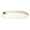 Luminária de Teto Redonda Minimalista Estilo Creme 6 Novas de Alto Padrão Protetora para Olhos para Quarto Principal e Estudo, Material de Ferro