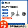 Tornillos Autorroscantes de Cabeza de Champiñón de Acero Inoxidable Hechos a Medida por el Fabricante, Tornillos Autorroscantes de Cabeza Phillips, Tornillos de Cola Puntiaguda No Estándar