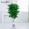 Árbol Feliz Planta Verde En Maceta Interior Planta Verde Grande En Maceta Árbol de la Paz Fácil de Cultivar Perennifolio Árbol Feliz Venta al por Mayor