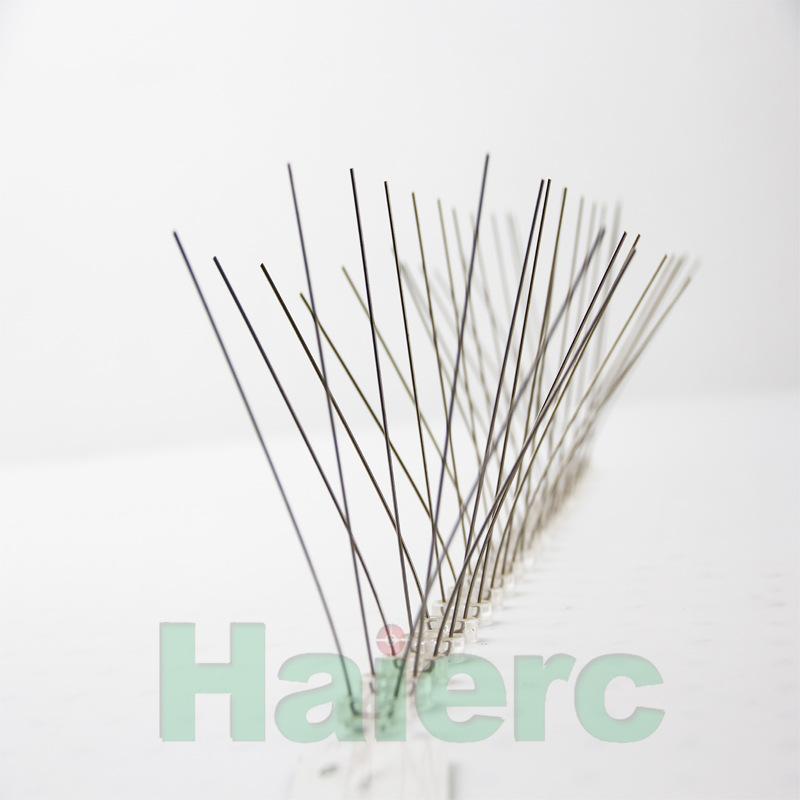1102w4（2）