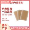 Parche Corrector Invisible para Piel Parche para Tatuajes Cicatrices Cubierta Impermeable Color Piel Piel Falsa Fabricante Cosméticos Cubre Cicatrices