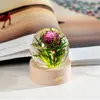 Suministro Transfronterizo Bola de Cristal de Resina Incrustada Luz Nocturna Flor Eterna Base de Madera Maciza Tallada en 3D Luminosa Regalo de Cristal