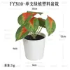 En Stock Hoja Única de Planta Verde Plástico Bonsái Decoración del Hogar Amazon Escritorio Maceta Adorno Pequeño Fabricante de Comercio Exterior