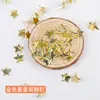 Accesorios para uñas de molinillo de viento para niños decoración de uñas uña de doble pie uña de jardín de infantes acrílico Gongmei