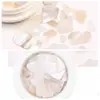 Estilo Japonés Colorido Perla Asimétrica Piedra de Concha Fragmentos de Abulón Decoraciones para Uñas Accesorios de Arte de Uñas Piezas de Concha