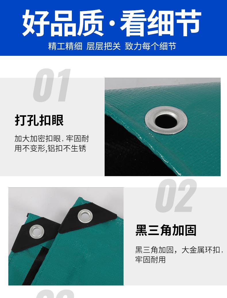 孔雀绿_13