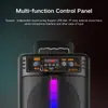 Fábrica 30W Duplo 8 Polegadas Luzes de Áudio Bluetooth Sem Fio Portátil Outdoor Karaoke Cartão BT-8219 Alto-falante