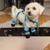 Sapatos para cães Sapatos para cães não voam Botas para cães Sapatos anti-sujeira Quatro estações Meias para animais de estimação transfronteiriças no verão