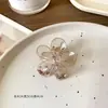 Presilha de Garra Pequena de Acrílico para Mulheres Novo Estilo High-End para Parte de Trás da Cabeça Meio Preso Coque Acessórios de Cabelo Presilha Tubarão Acessórios de Cabelo Matéria-Prima Atacado