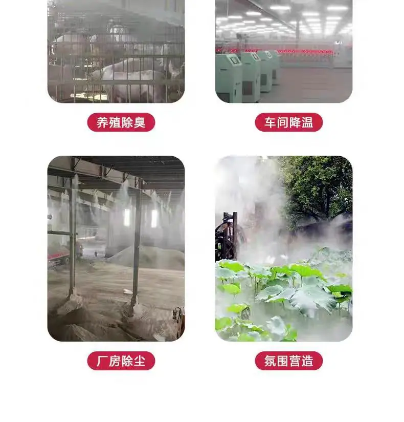 微信图片_20241112202543
