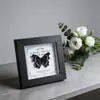 Marco de Vidrio Moderno Sencillo para Espécimenes de Mariposa Sala de Estar Regalo Pintura Decorativa Marco de Espécimen