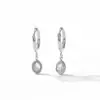 2024 Nova Moda Gota d'Água Zircônia Argola de Orelha Feminina Luxo Leve Design de Nicho Brincos Elegantes de Alta Qualidade Para Todas as Ocasiões Brincos