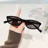 Óculos de Sol Retrô Britânicos com Armação Oval Pequena da Moda Estilo Europeu e Americano Óculos de Sol Nerd Estilo Hot Girl Óculos de Sol Estilo de Rua