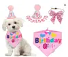 Set Transfronterizo Sombrero para Mascota Toalla Triangular Sombrero de Cumpleaños Digital de Cumpleaños Nuevo Estilo Babero Decorativo para Gato