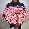 Gipsofila Eterna DIY Dia dos Namorados Festival Qixi Flores Secas Buquê de Celebridade da Internet Fabricante de Yunnan Entrega Direta Atacado Seco ao Ar