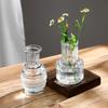 Juego de Jarrones Pequeños Decorativos de Vidrio Vintage Transparente Estilo Ins, Jarrón de Flores y Botella de Aromaterapia, El Más Vendido Transfronterizo con un Toque de Lujo