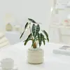 Bonsái Tocón Viejo Bonsái Cuatro Estaciones Plantas Fáciles de Cultivar Escritorio Oficina Floración Resistente a la Sequía Plantas Verdes Plantas Pequeñas en Maceta