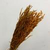Flor seca de Yunnan flor eterna flor seca de aveia espiga de trigo buquê decoração de casa materiais florais macios materiais de combinação floral