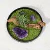 Adornos de Micro Paisaje de Cristal Natural Grava Verde Oliva Racimo de Piedra Cruda Amatista Madera Intemperie Decoración de Escritorio de Oficina