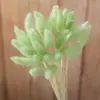 Comércio eletrônico transfronteiriço comércio exterior Amazon cor flor seca rabo de coelho grama atacado diy pequeno buquê vaso buquê