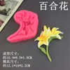 Molde de Silicone DIY Guirlanda de Rosa Suculenta Lírio-do-vale Molde para Bolo Fondant Decoração de Gesso para Aromaterapia