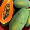Papaya Roja de Guangxi Suministro Directo desde el Lugar de Origen, Venta al por Mayor en Caja Completa con Envío Gratis 2.5kg 5kg Papaya Verde de Guangxi Comercial