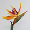 Alto Artificial Pe Trompeta Ave del Paraíso Planta Artificial Ventas Directas de Fábrica Decoración Accesorios para Arreglos Florales Decoración de Escritorio