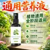 Solução Nutritiva Planta Tipo Universal Vasos Hidropônico Bambu da Sorte Jiboia Árvore da Fortuna Solução Nutritiva Flor Rosa Fertilizante Especial