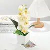 Bonsai Simulado de Phalaenopsis, Enfeites Criativos, Produtos Domésticos da Moda, Flores Artificiais, Flores de Seda Ecológicas, Plantas Verdes, Flores Artificiais em Vasos