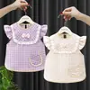 Bata de Bebê, Avental de Alimentação Infantil, Babador Impermeável, Vestido de Verão Fino Sem Mangas para Menina, Bata Princesa (para usar dos dois lados)
