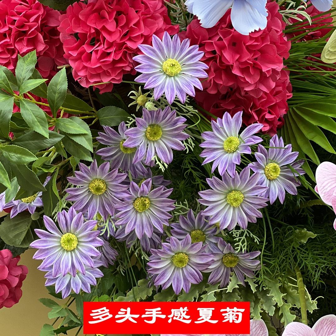 微信图片_20220813110746_副本.jpg