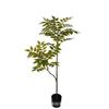 Simulación de comercio exterior Árbol de Toona sinensis en maceta Madera lacada bonsái simulación madera borracha hotel centro comercial simulación planta verde péndulo
