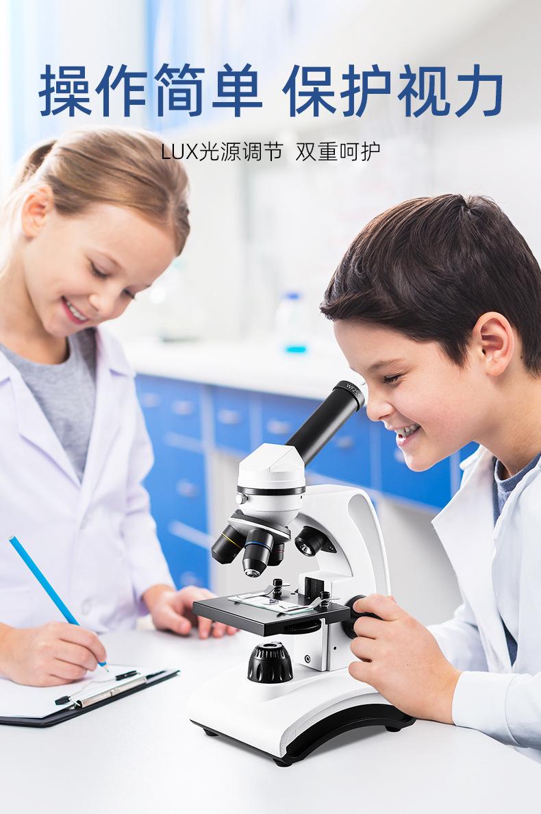 画板 5.jpg