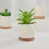 Línea Mini de Empaque para Pedidos por Correo Exportación Rayas Quemadas Lisas Maceta Pequeña de Porcelana Blanca Flor Carnosa con Base de Bambú