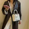 Bolso pequeño súper popular para el trabajo, nuevo de verano 2026 para mujer, patrón tejido de nicho, bolso cruzado de hombro único tipo cubo