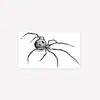 Item Popular Transfronteiriço: Tatuagem Adesiva de Moda Estilo Ins Minimalista Personalizada Estilo Dark Menina Picante Y2K Estrela Aranha Braço