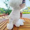 Suéter de Perro de Peluche Otoño e Invierno para Bichón, Schnauzer, Pomerania, Blanco de Cuello Alto Casual Protección de Barriga para Mascota Cubierta de Cuatro Patas