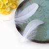 Colorir um grande número de atacado de ponto pena de ganso macia grande flutuante material de decoração de artesanato para cocar de pena diy cor
